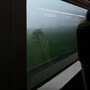 草莓91视频免费
