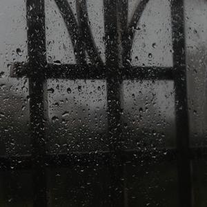 草莓91视频免费
